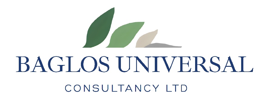 Human Resource Training and Development Consulting Agency